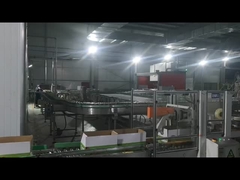 Máy niêm phong carton, Máy palletizing robot