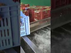 Máy giặt trái cây / rau loại bong bóng, công suất sản xuất có thể được tùy chỉnh